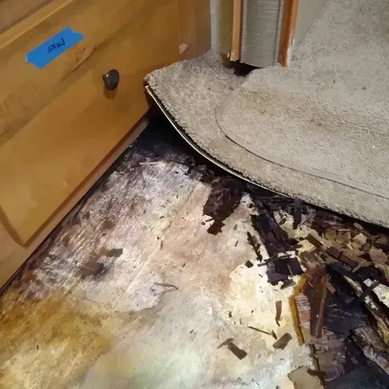 Wood Floor Water Damage in Big Park, AZ